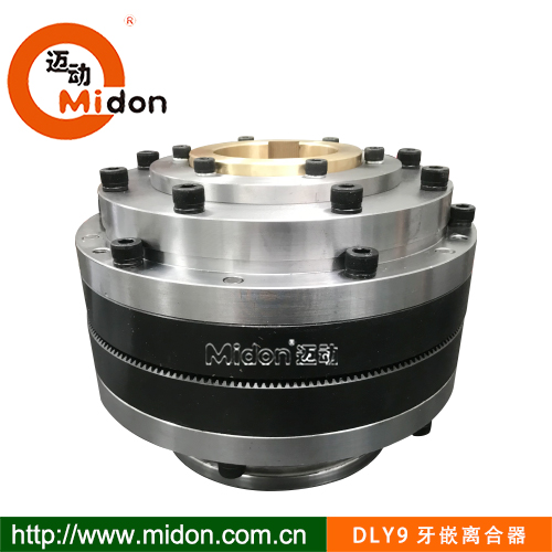 DLY9牙嵌离合器.jpg