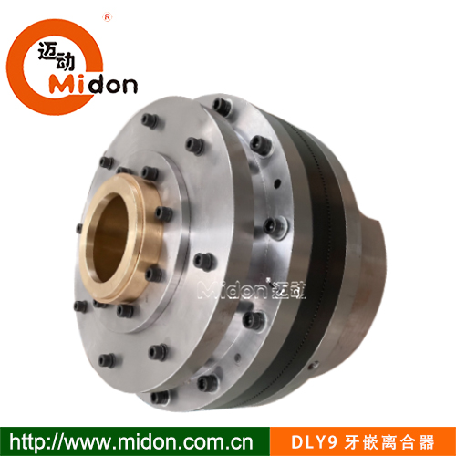 DLY9牙嵌离合器1.jpg